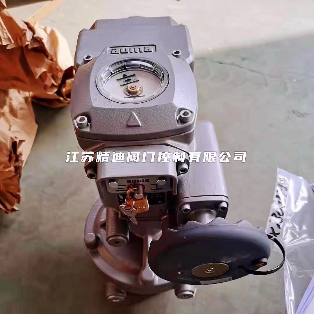 奥玛进口电动执行器 auma欧玛电动执行机构