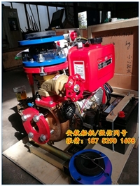 供应65CWY-40移动式船用应急消防泵 电启动消防泵 CCS船检