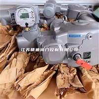 欧玛/奥玛/AUMA固态继电器Z039.700