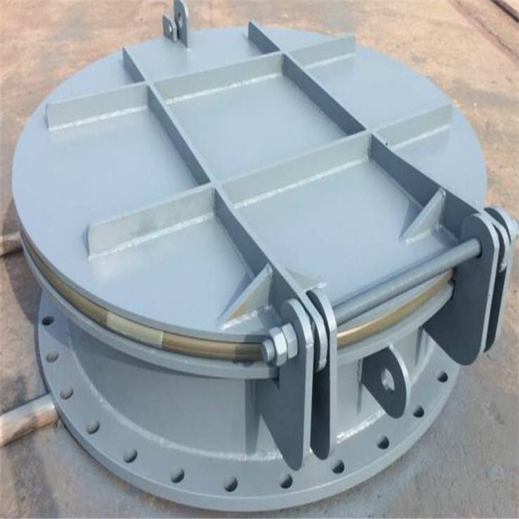 玻璃钢拍门 工程用拍门 支持定制拍门 钢制拍门