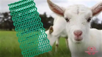 供应新疆和田羊床 塑料羊床 新式塑料羊床 得利畜牧