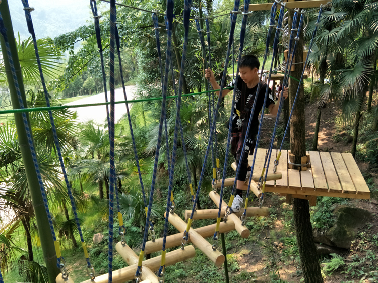 丛林穿越丛林探险户外树上拓展项目