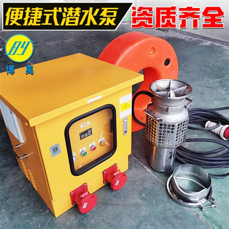 防汛抗旱便携式潜水泵 潜水泵价格 博禹 支持定制
