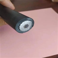 厂家销售JKLGYJ-10kv-120/20  河北沧州架空绝缘线厂家