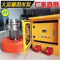 大流量便携式防汛抢险潜水泵 博禹厂家 可定制潜水泵