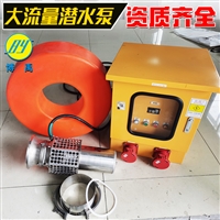 高扬程大流量潜水泵 便携式抽水泵 高扬程水泵价格 博禹