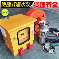 防汛抗旱便携式潜水泵 潜水泵价格 博禹 支持定制