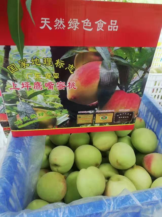 上坪鹰嘴桃万亩桃花万亩果