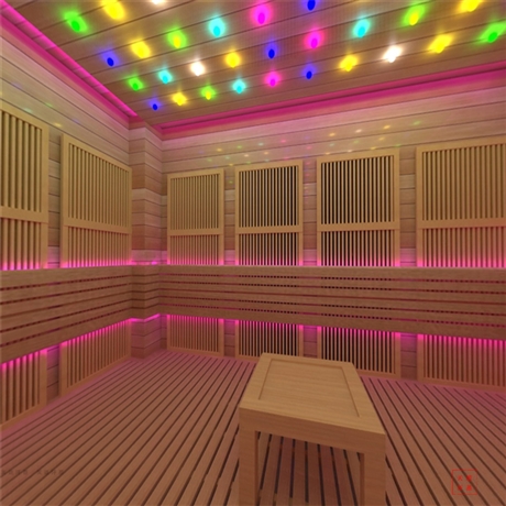 家用多功能光波房广州光波浴房的价格厂家定制尺寸大小均可