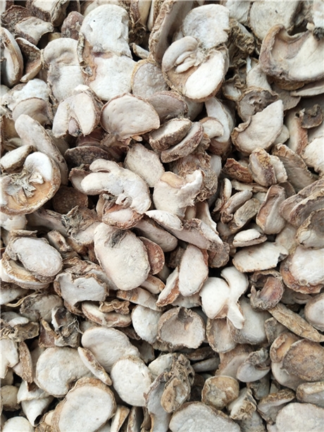 【浙贝母批发价格】价格,厂家,粮食作物种子