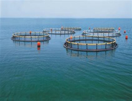 苏州市地表水耗氧量检测  河流湖泊水质检测
