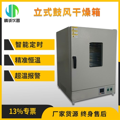 鼓风干燥箱 实验室用非挥发性物品干燥 立式干燥箱