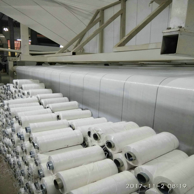 pe编织布-pe编织布价格/厂家/批发-德州正宇土工材料有公司