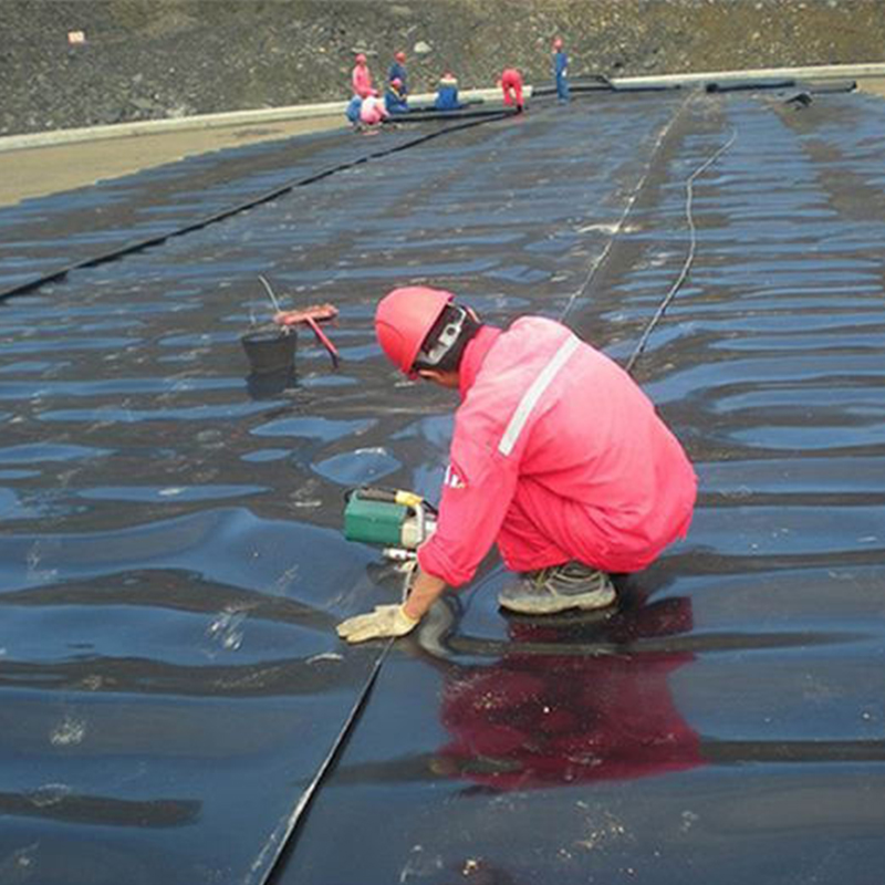 山東汙水處理池氧化塘hdpe土工膜供應商