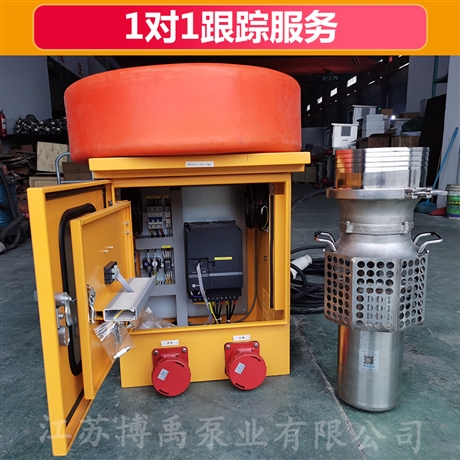 便携式潜水泵排水泵 大流量便携式潜水泵 博禹