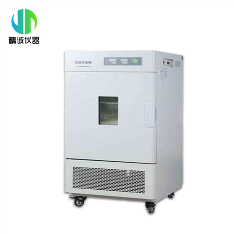 恒温箱 实验室用大屏幕热风循环系统250L 电热培养箱