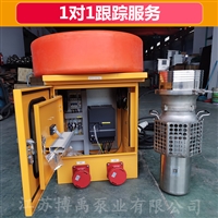 便携式潜水泵排水泵 大流量便携式潜水泵 博禹