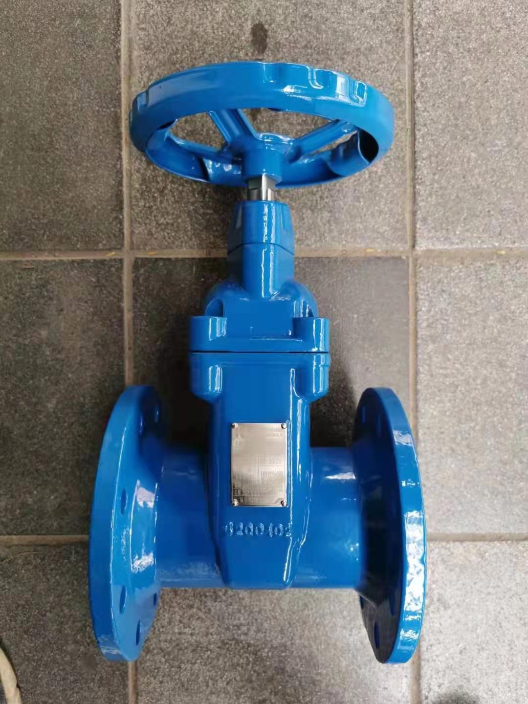 冠龙软密封闸阀rvhxdn125暗杆法兰弹性座封闸阀冠龙karon