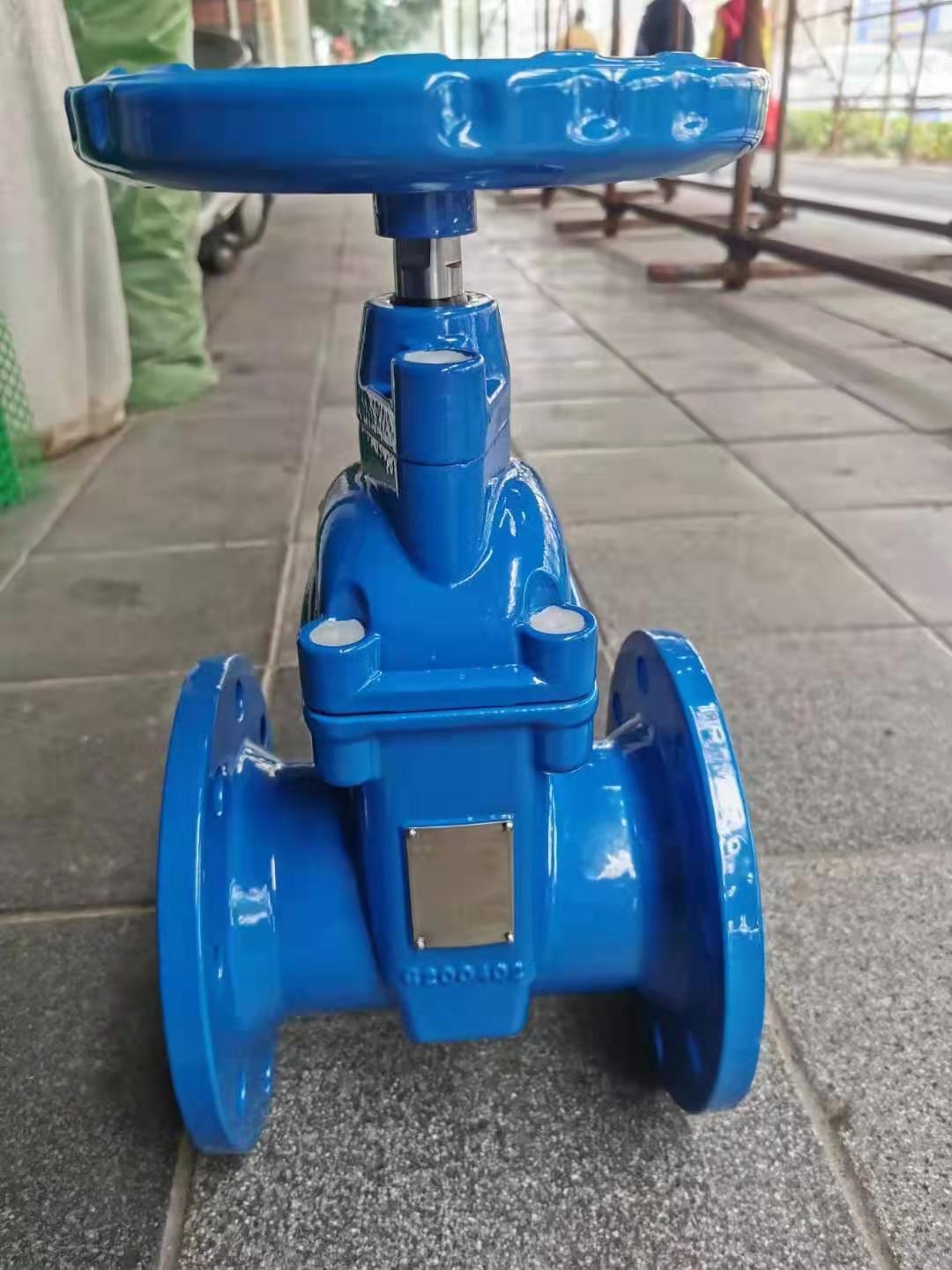 冠龙软密封闸阀rvhxdn125暗杆法兰弹性座封闸阀冠龙karon