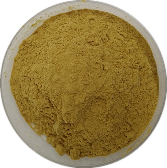 六盘韵 大蓟粉 水溶性好 大蓟提取物 喷雾干燥粉