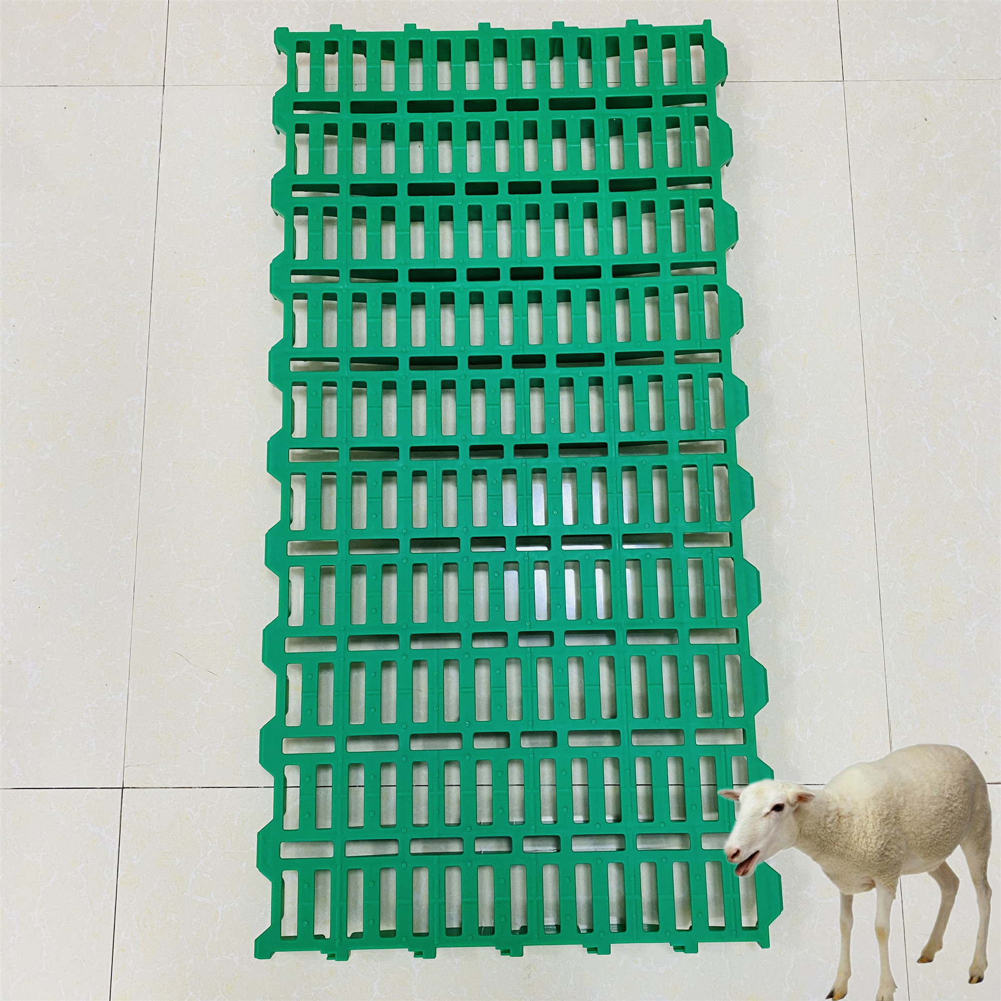 湖羊漏粪板 塑料羊床 波尔山羊 得利畜牧实力厂家