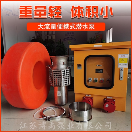 便携式电动潜水泵 南京便携式潜水泵 博禹泵业实力厂家