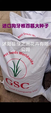 蓝标高羊茅草籽亩用种量