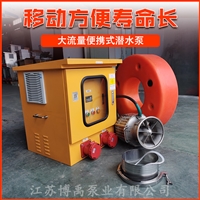 380v便携式潜水泵 不锈钢大流量便携式潜水泵厂家 博禹