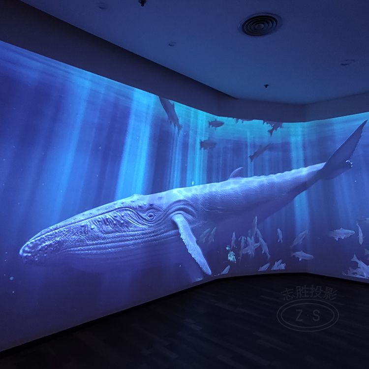 体感墙面互动投影 沉浸式拍照墙 广州互动墙面投影