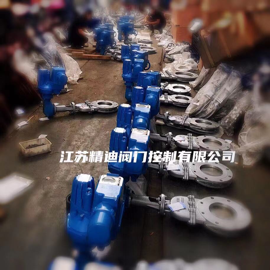 原裝進口EMG電動執行機構DIM1000-B4-80