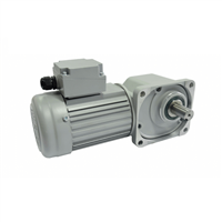 变频刹车直角减速机BPSGF55-SL-3000-5-SB 士元 直角电机减速机