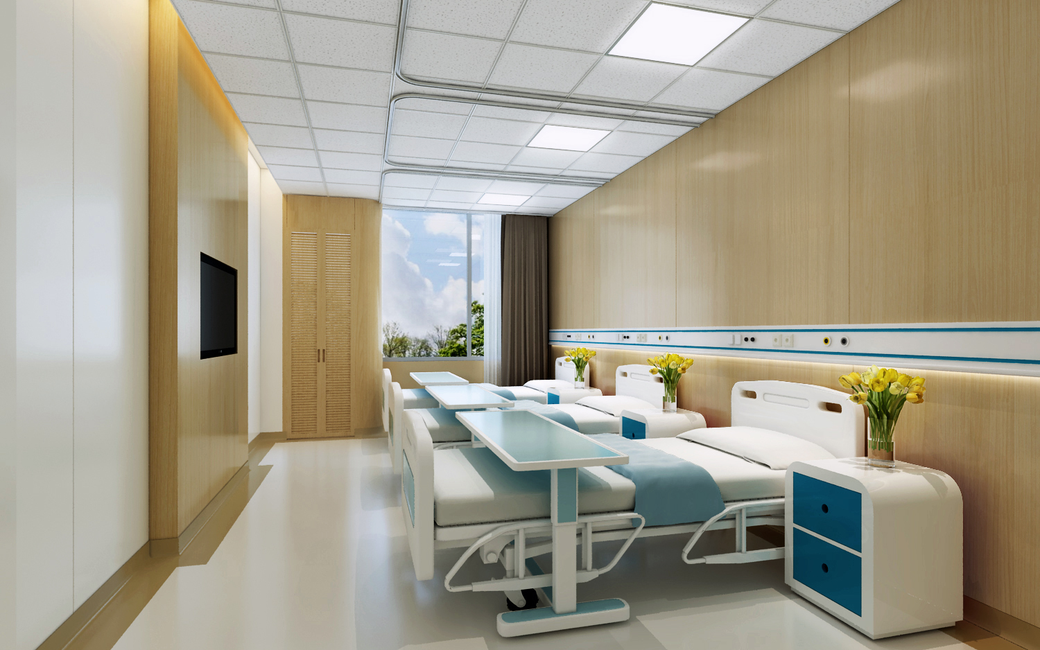 医用冰火板应用领域