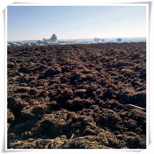 快来泥炭进口清关来啦