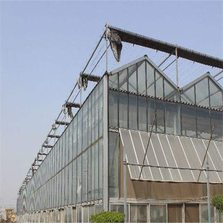 玻璃温室 玻璃温室大棚建造商 蔬菜玻璃温室定制厂家