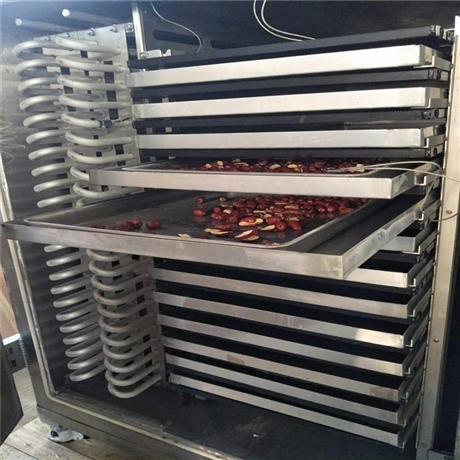 jh直供香菇冻干机果蔬真空冻干设备苹果脆片冷冻干燥机