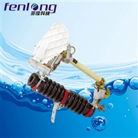 RW11跌落熔断器-FENLONG品牌