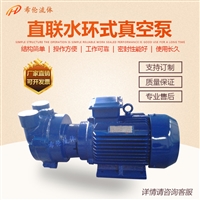 希伦真空泵 SKA2071 3.85kw 水环式真空泵