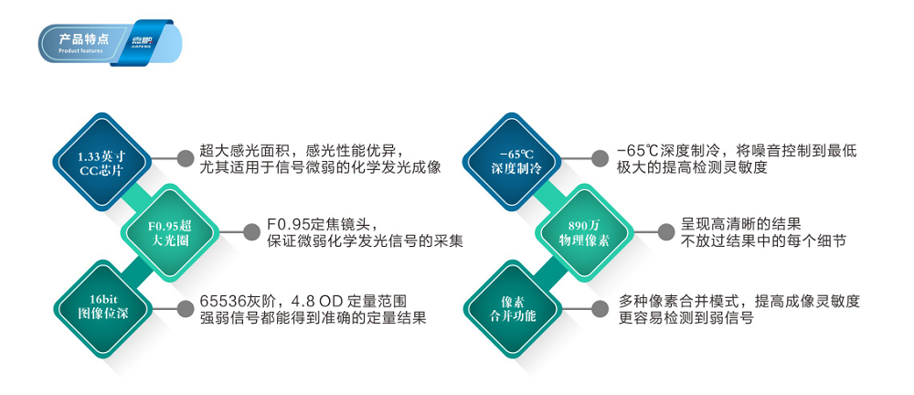 上海嘉鹏JP-K900S化学发光成像系统