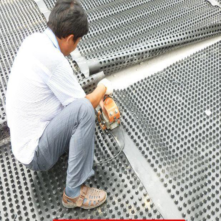 安徽车库顶板隔热防排水板车库种植塑料排水板厂家