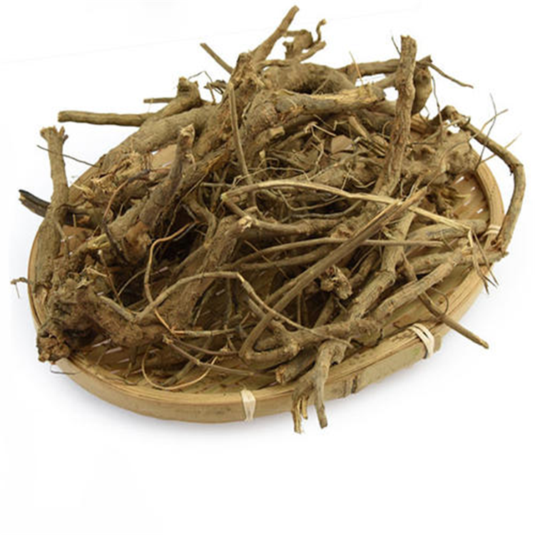 寻骨风提取物 斯诺特厂家供应 寻骨风粉