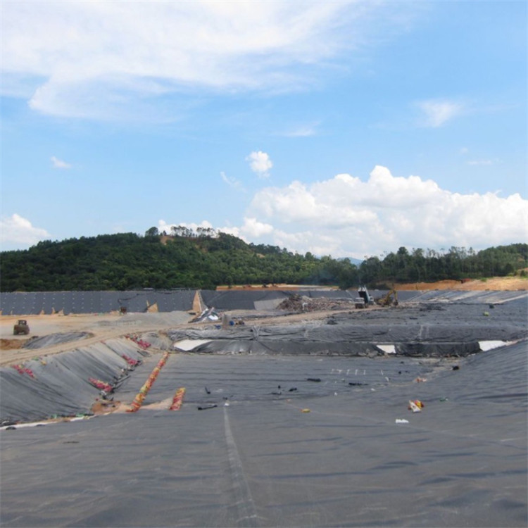 廠家批發國標hdpe黑色防滲土工膜 沼氣池魚塘養殖膜 定做防水防滲複合