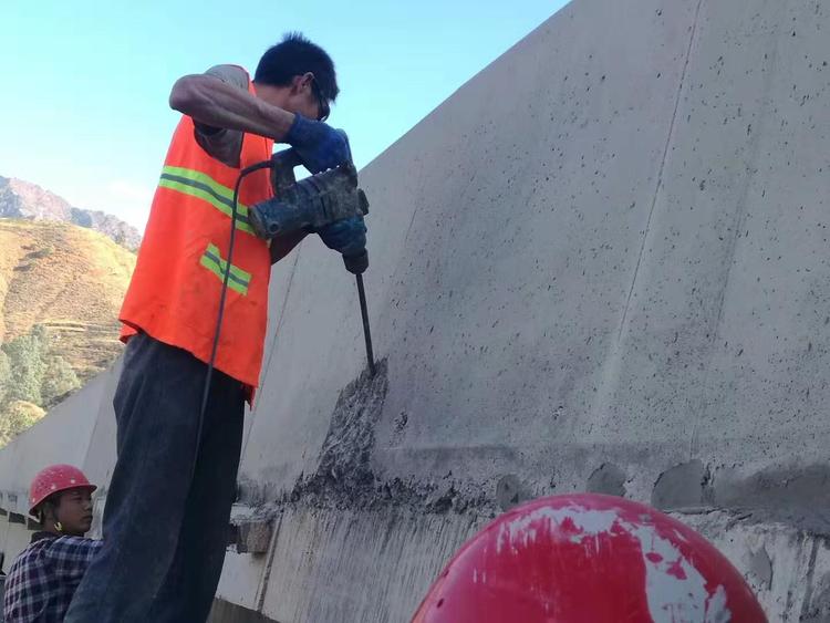 广东混凝土结构修补加固砂浆 万吉聚合物修补砂浆 厂家价格