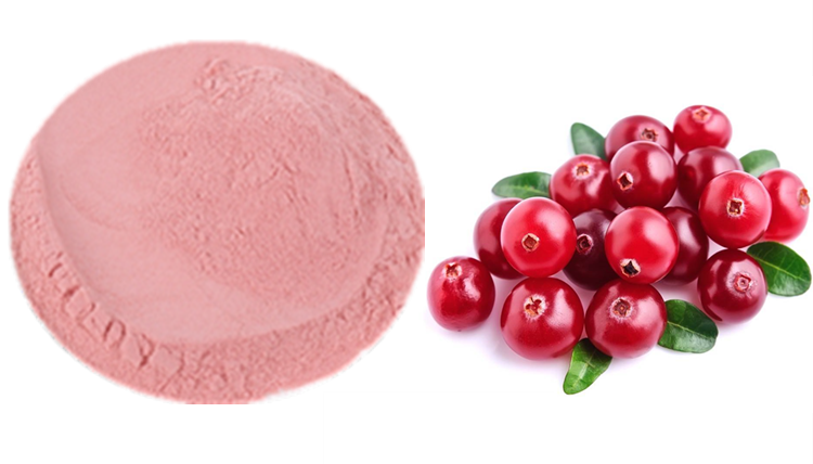 越橘提取物斯诺特植提厂家供应越橘粉