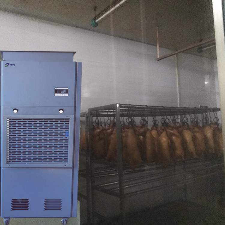 烤鸭烘干除湿机烤鸭鸭胚晾干房除湿机