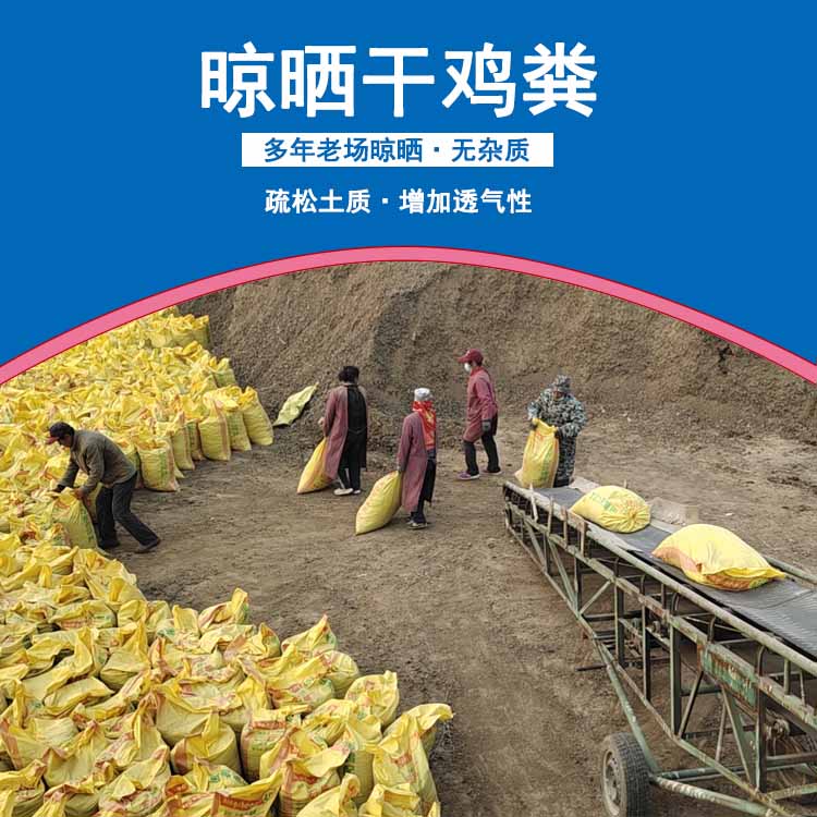 发酵鸡粪的用途与价值