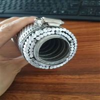 大征 国标镀锌软管支撑扩经导线  LGKK-1400  变电站输变