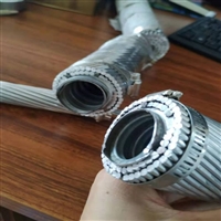 国标扩经导线  LGKK-600 800 900 1400 高锌钢芯铝绞线