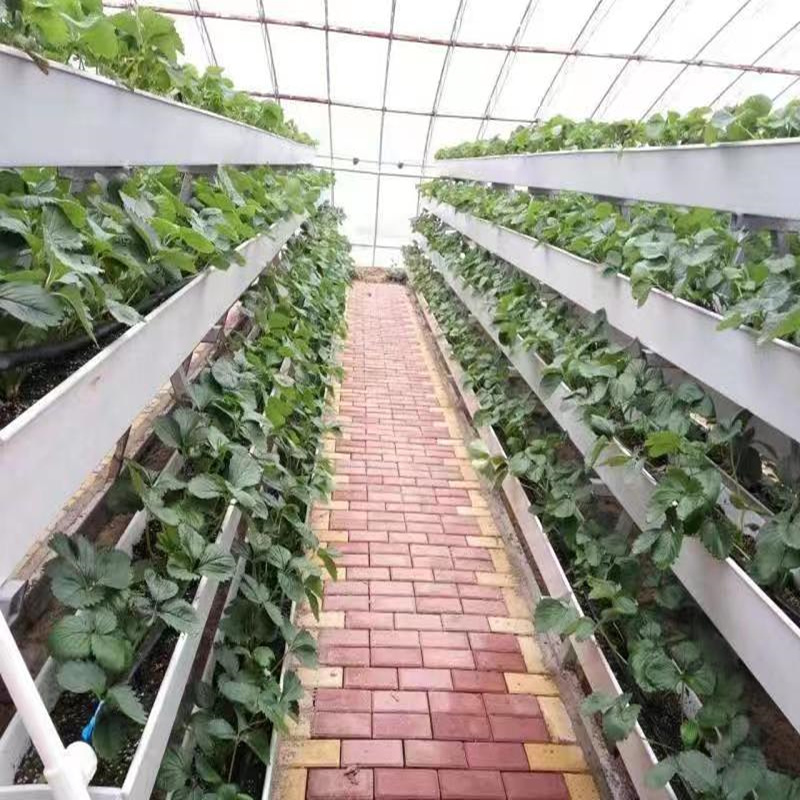 草莓无土栽培槽批发 番茄基质槽生产厂家