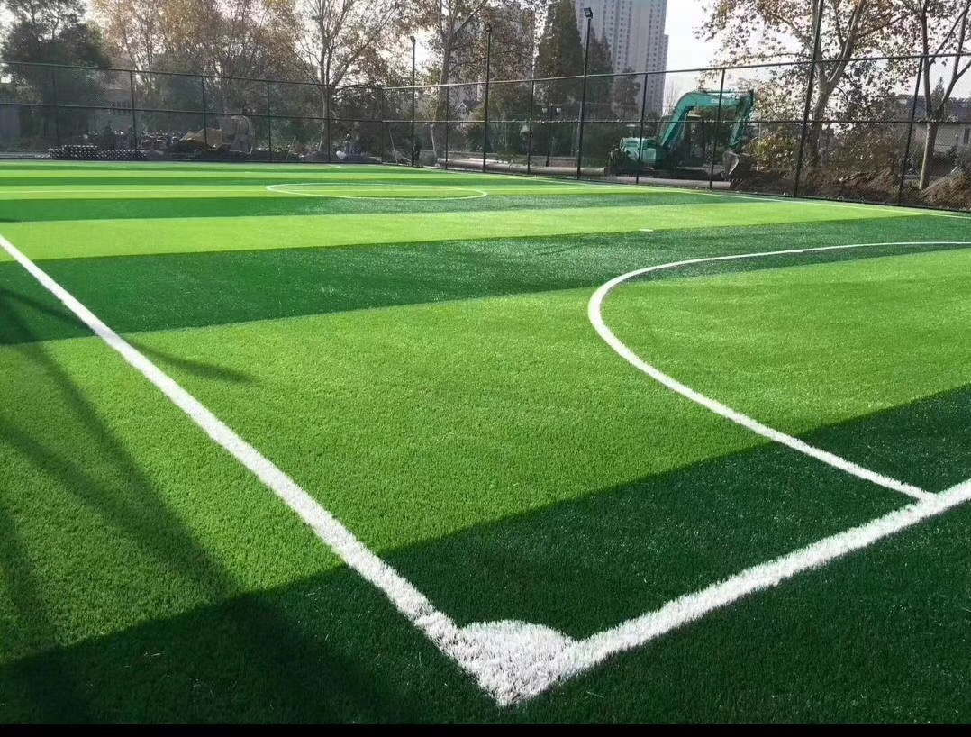 体育场人工草坪