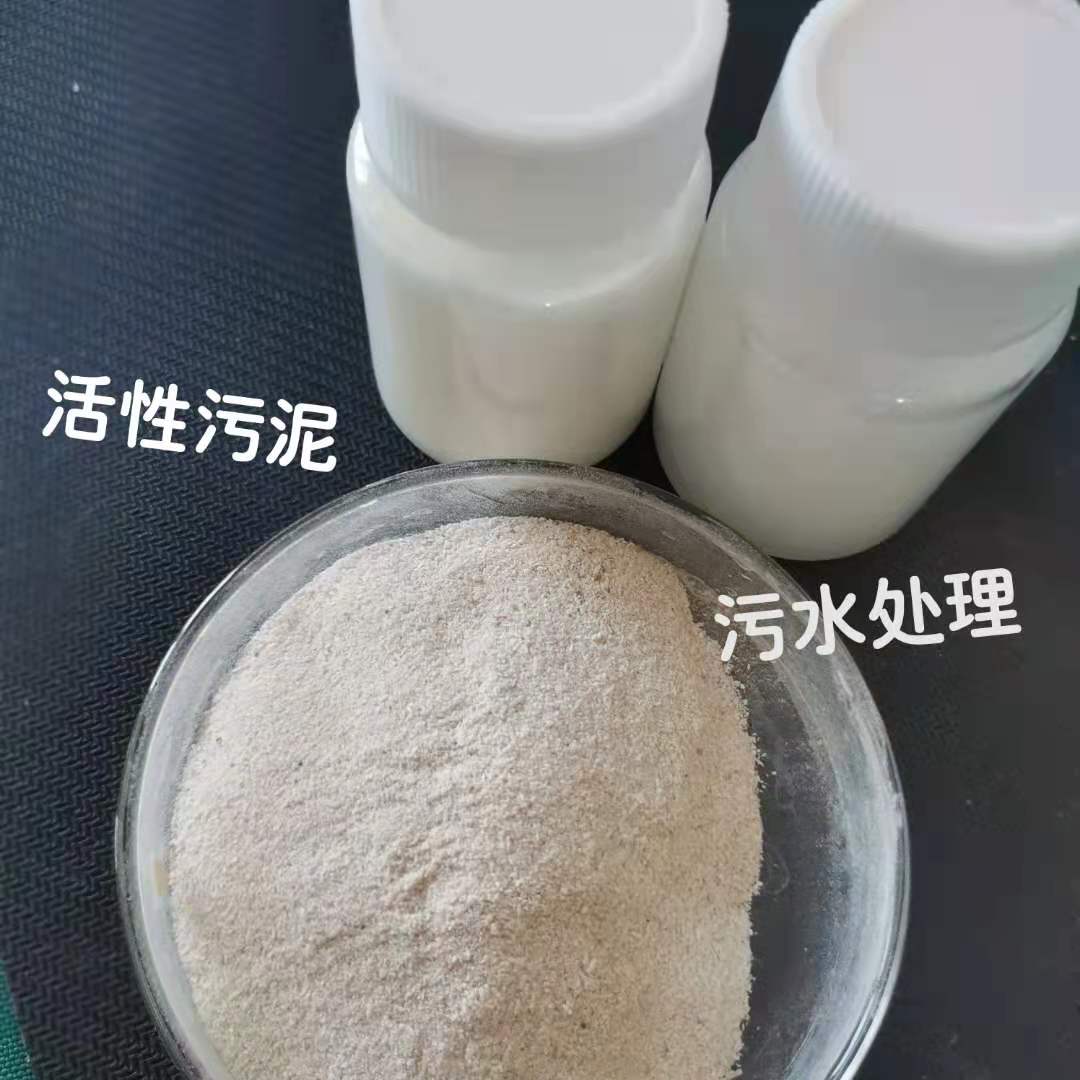 煤礦廠汙水處理 好氧活性汙泥 水處理化學劑 活性汙泥